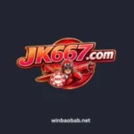 JK 667 Game