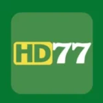 HD77 Game