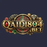 QAIDI804 Game
