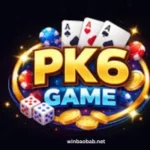 PK6x Game