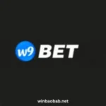 W9Bet Game