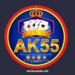 AK55 Game