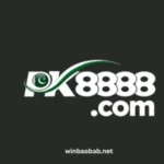 PK8888 Game