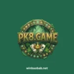PK8 Game