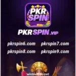 PKR SPIN Game