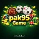 Pak95 Game