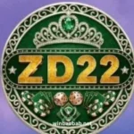 ZD22 Game