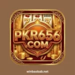 PKR 656 Game
