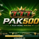 Pak 500 Game