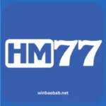 HM 77 Game