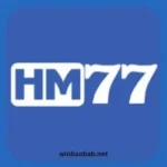 HM 777 Game